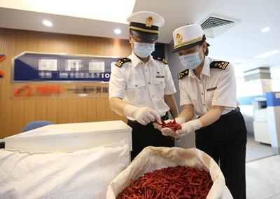中非經貿博覽會 合作成果豐碩，攜手共譜發展新篇